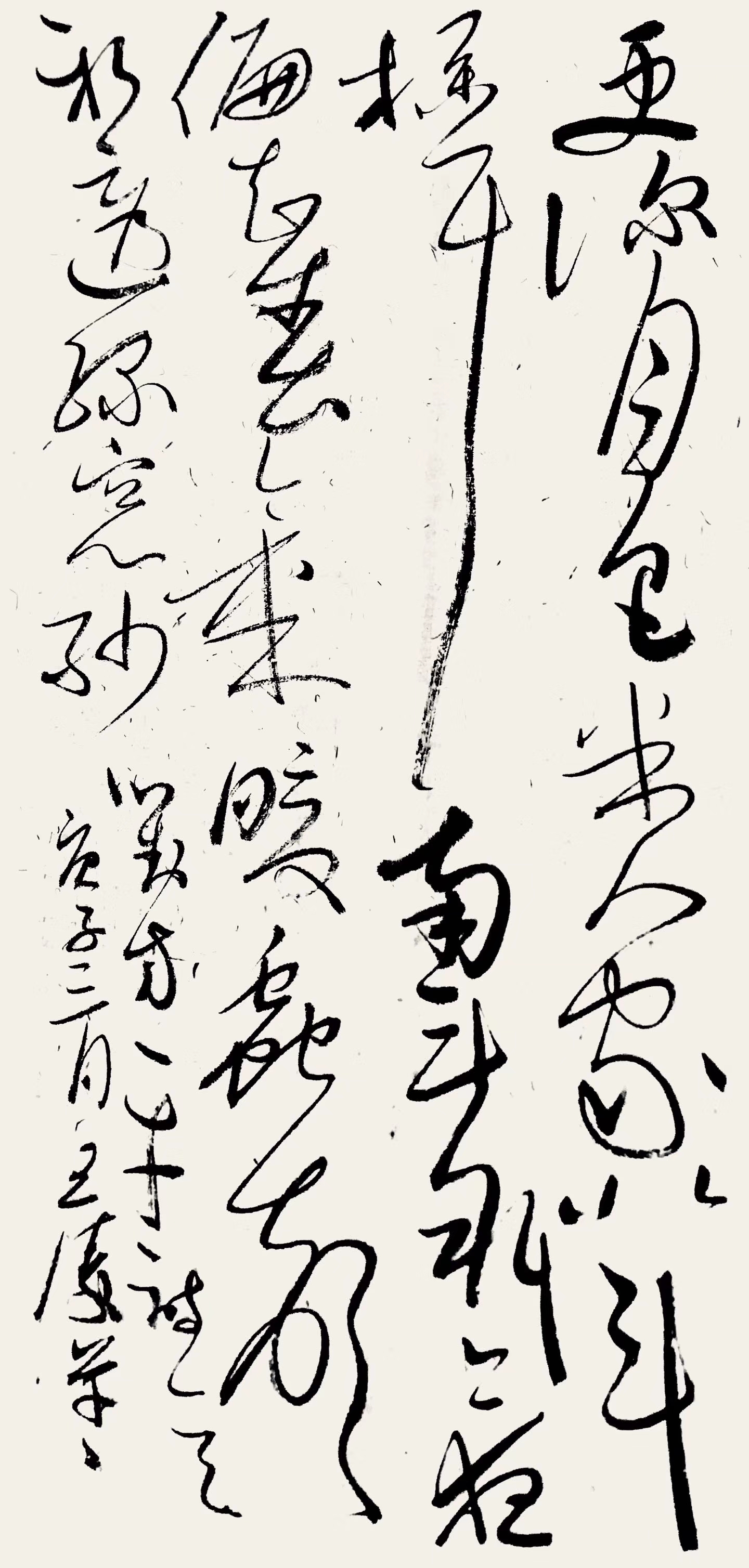 王涛
