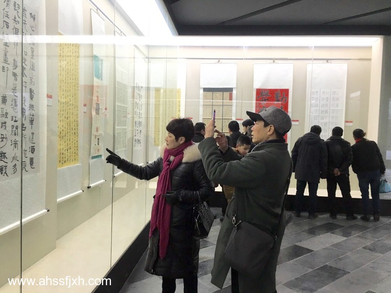 安徽省第十四届书法新人新作展在合肥开展(图5) 安徽省第十四届书法新人新作展在合肥开展(图5)