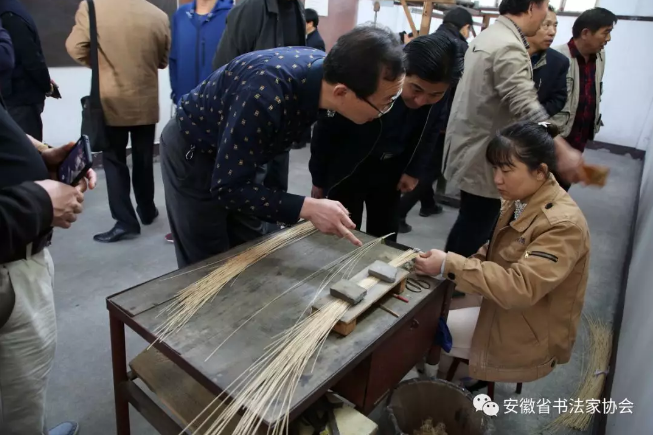 省书协召开第六届理事会第二次会议暨首期省书协会员培训班(图19) 省书协召开第六届理事会第二次会议暨首期省书协会员培训班(图19)