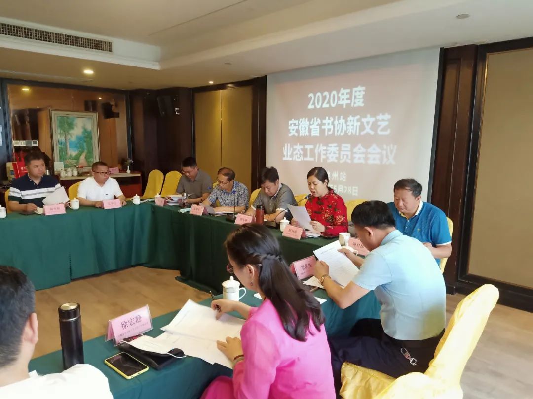 省书协新文艺业态工作委员会工作会议在池州召开(图8)