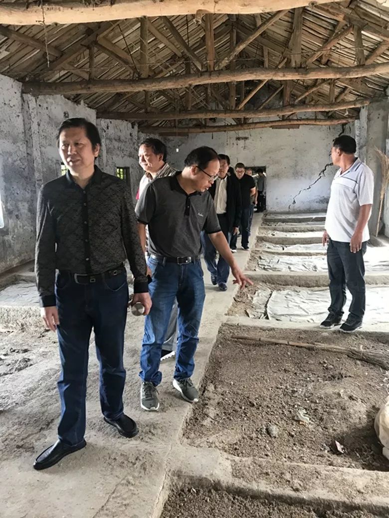 微信图片_20190920184555.jpg 省书协赴太和县旧县镇大张村开展文艺志愿服务活动(图4)
