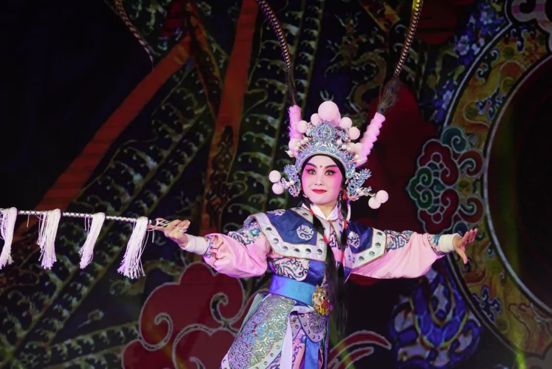 文艺名家进高校--省文联文艺小分队走进池州学院(图30)