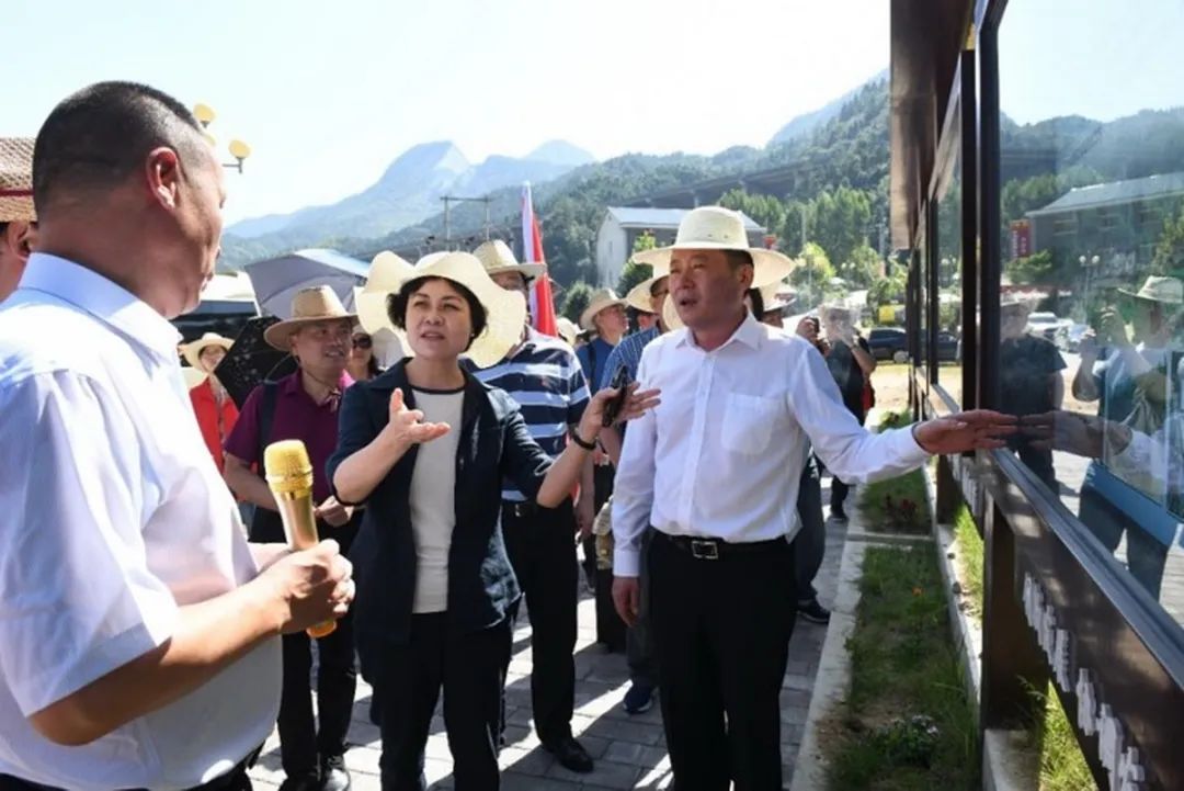 迎接安徽省文联第七次代表大会│安徽文艺事业这五年(图5) 迎接安徽省文联第七次代表大会│安徽文艺事业这五年(图5)