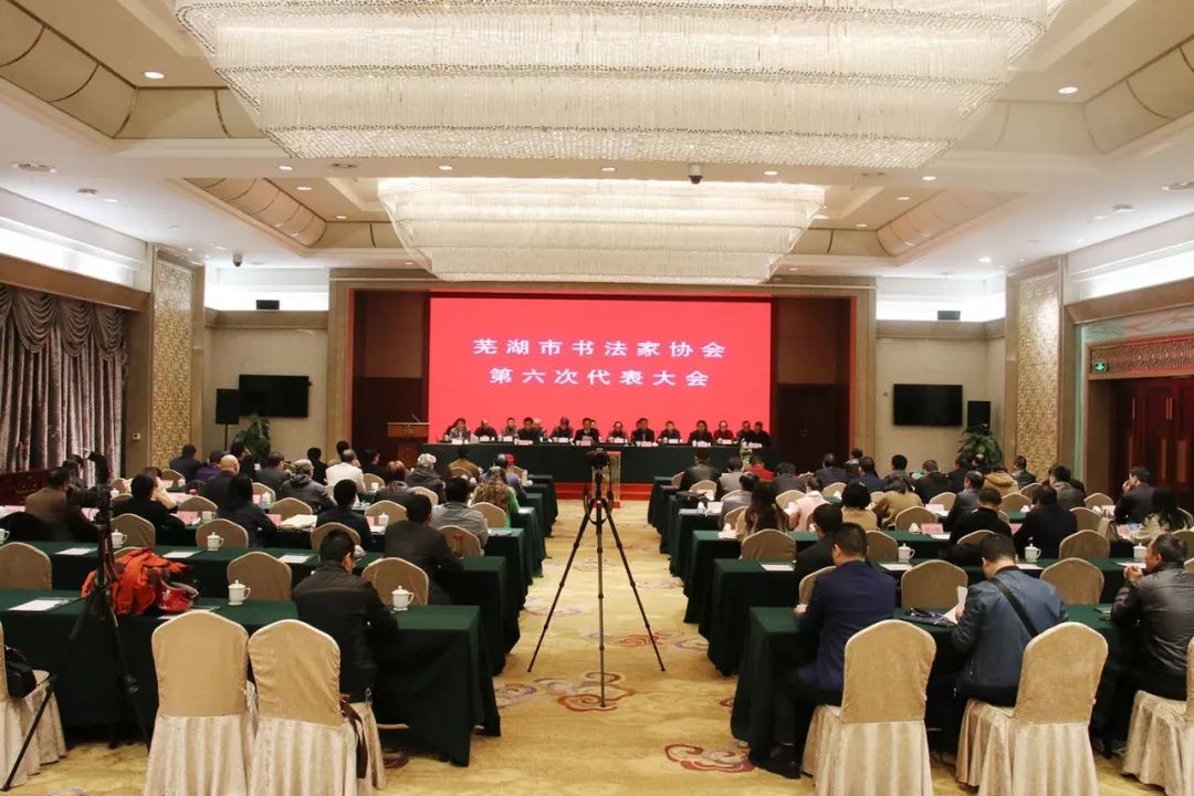 芜湖市书协召开第六次代表大会(图1)