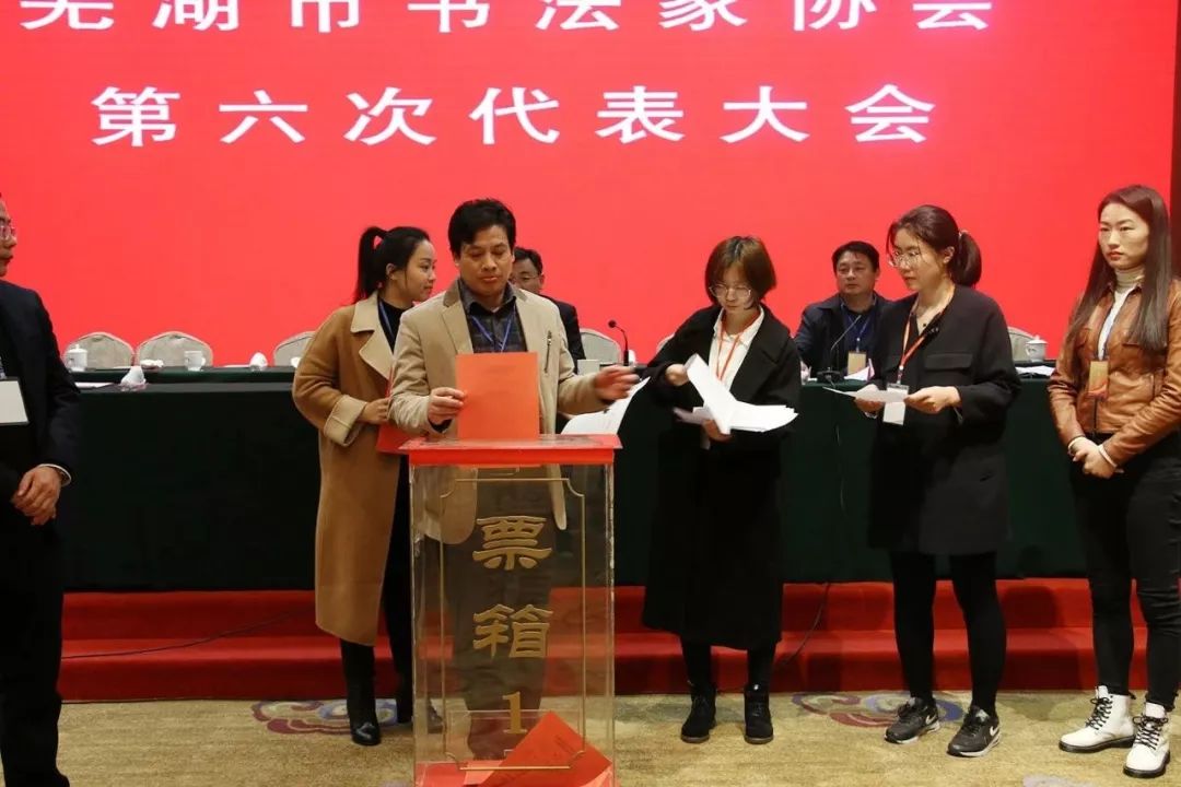 芜湖市书协召开第六次代表大会(图5)