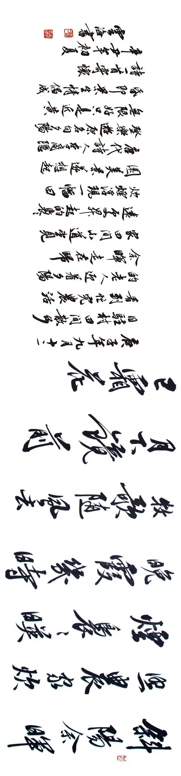 “小康路上的足音” 安徽省百名书家书写扶贫干部日记作品展移师阜阳巡展(图59) 图片