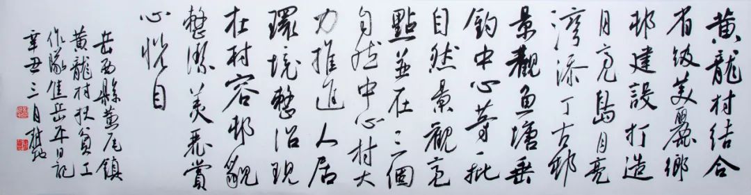 “小康路上的足音”安徽省百名书家书写扶贫干部日记作品展 | 作品欣赏(一)(图41) 图片