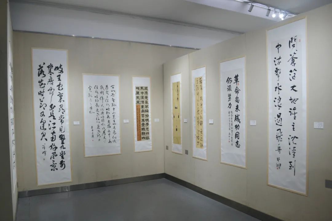 纪念辛亥革命110周年——安徽民革书画艺术作品展开幕(图22) 图片