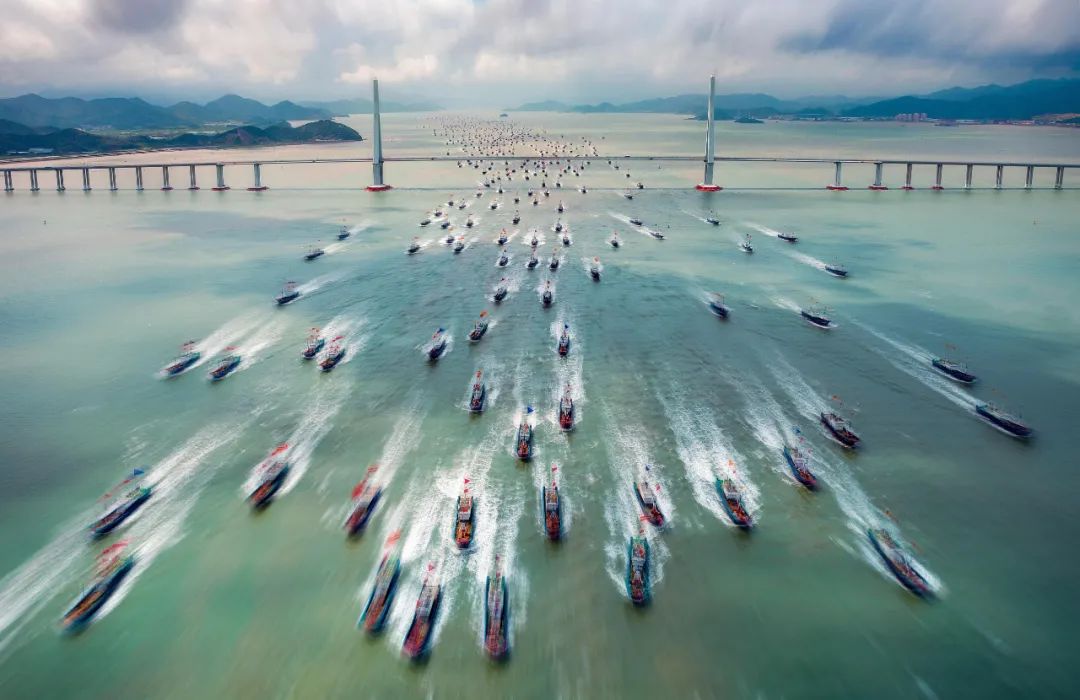 长三角文艺发展联盟美术·书法·摄影作品展在合肥开幕(图70) 图片