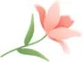 “巾帼心向党 喜迎二十大”——安徽省首届巾帼美术书法作品展在合肥开幕(图19) 图片
